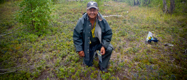 Boniface Robillard of Black Lake picking berries<br>Photo courtesy of CanNorth