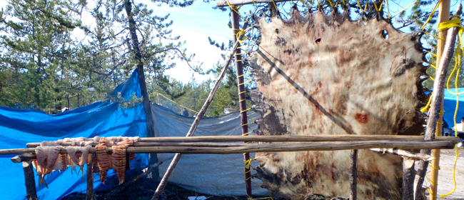Cultural Camp near the community of Fond du Lac in 2011<br>Photo courtesy of CanNorth