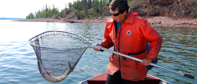 Dennis Larocque of Camsell Portage collecting a fish sample<br>Photo courtesy of CanNorth