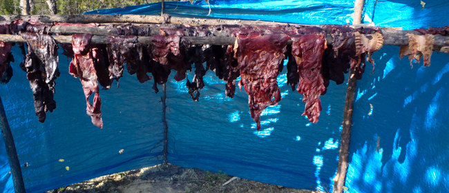 Dry meat from Fond du Lac cultural camp 2011<br>Photo courtesy of CanNorth