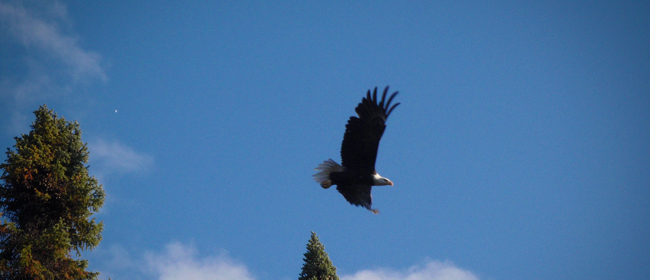 Photo courtesy of CanNorth<br>